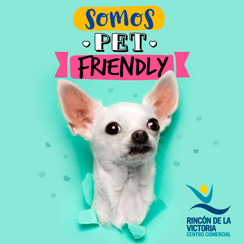 banner-petfriendly-small