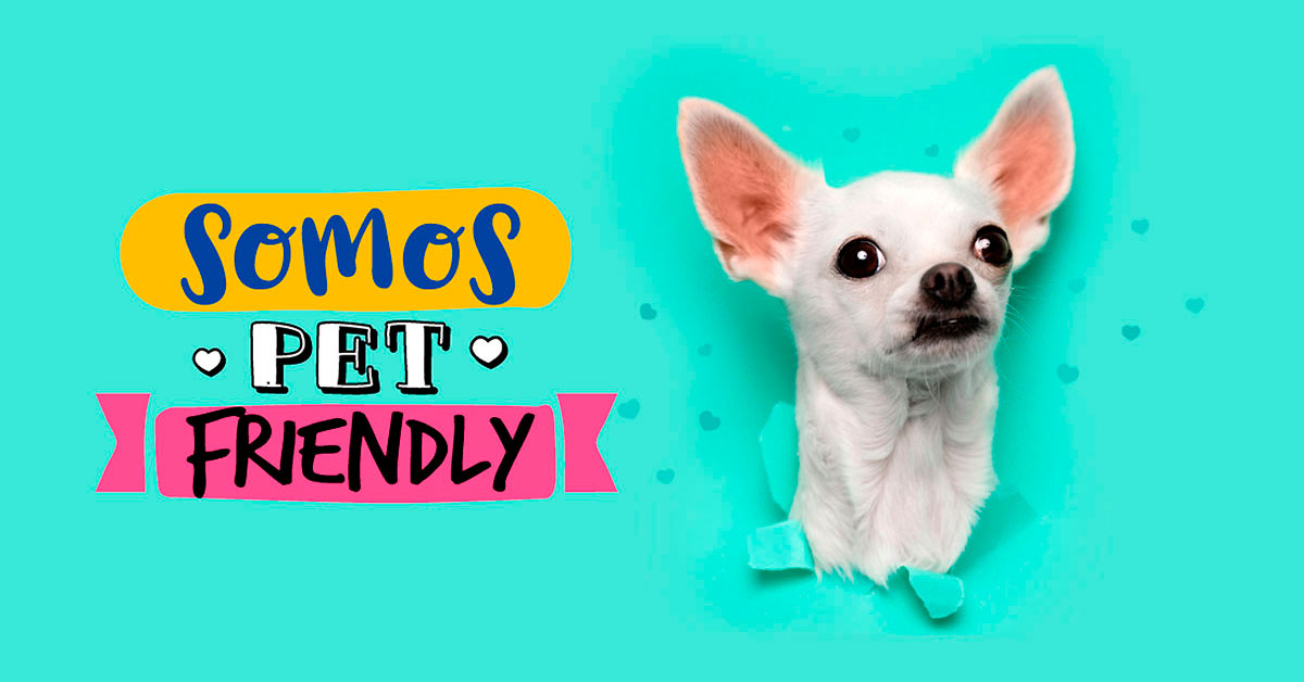 banner-petfriendly-medium